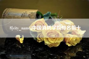 庄河中国消防学院排名前十