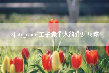 庄河王子豪个人简介乒乓球
