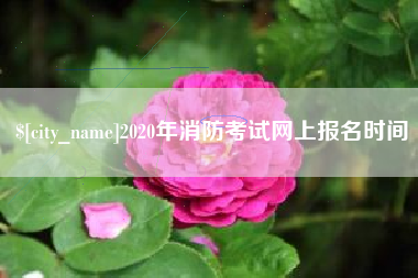 庄河2020年消防考试网上报名时间