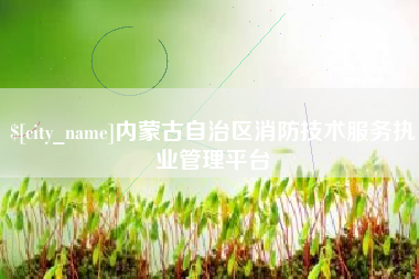 庄河内蒙古自治区消防技术服务执业管理平台