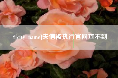 庄河失信被执行官网查不到