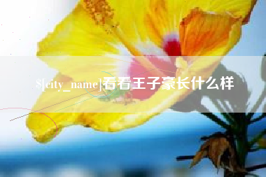 庄河看看王子豪长什么样
