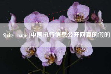 庄河中国执行信息公开网真的假的