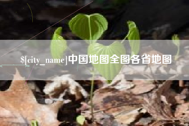 庄河中国地图全图各省地图