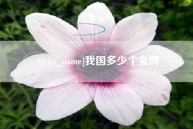 庄河我国多少个金牌