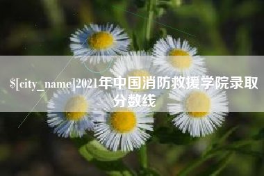庄河2021年中国消防救援学院录取分数线