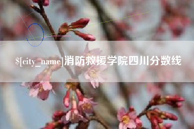 庄河消防救援学院四川分数线