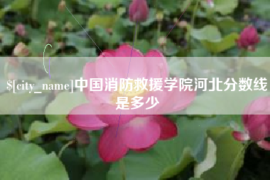 庄河中国消防救援学院河北分数线是多少