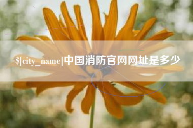 庄河中国消防官网网址是多少