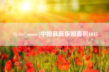庄河中国最新版图面积1045