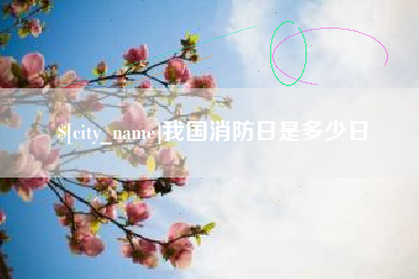 庄河我国消防日是多少日