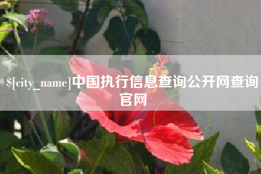 庄河中国执行信息查询公开网查询官网