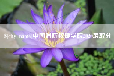 庄河中国消防救援学院2020录取分