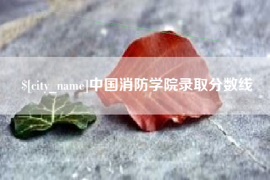 庄河中国消防学院录取分数线