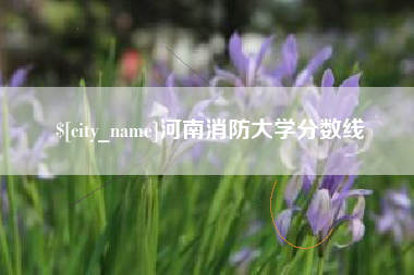 庄河河南消防大学分数线