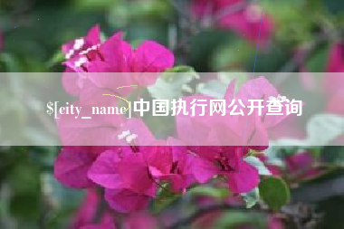 庄河中国执行网公开查询