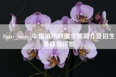 庄河中国消防救援学院简介及招生章程指挥部