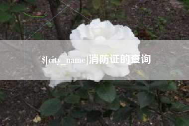 庄河消防证的查询