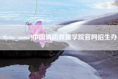 庄河中国消防救援学院官网招生办