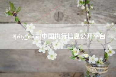 庄河中国执行信息公开平台