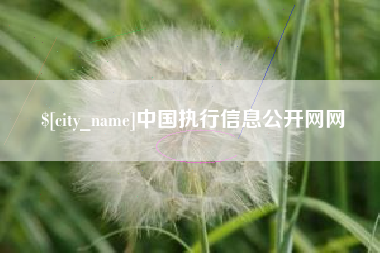 庄河中国执行信息公开网网