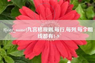 庄河九宫格规则,每行,每列,每个粗线都有1-9