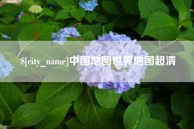 庄河中国地图世界地图超清