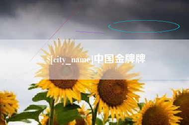 庄河中国金牌牌