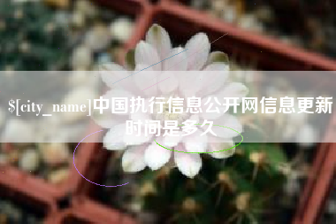 庄河中国执行信息公开网信息更新时间是多久