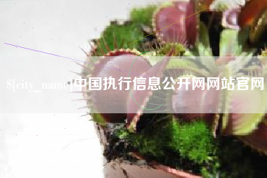 庄河中国执行信息公开网网站官网