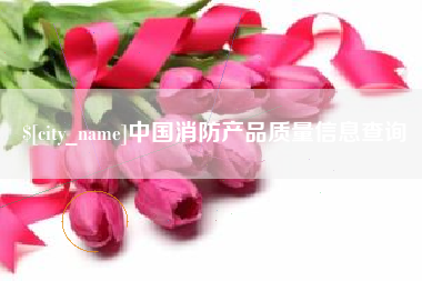 庄河中国消防产品质量信息查询