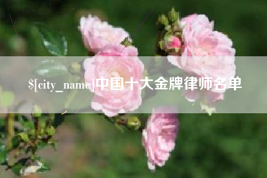 庄河中国十大金牌律师名单