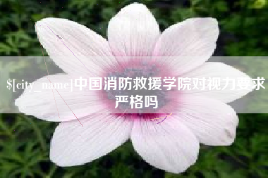 庄河中国消防救援学院对视力要求严格吗