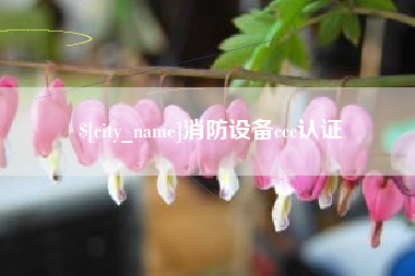 庄河消防设备ccc认证