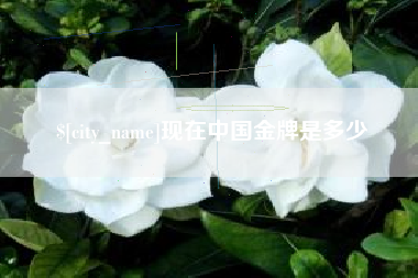 庄河现在中国金牌是多少