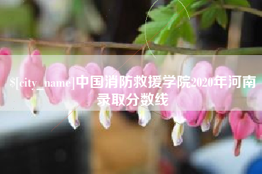 庄河中国消防救援学院2020年河南录取分数线