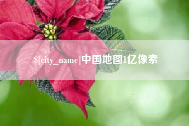 庄河中国地图1亿像素