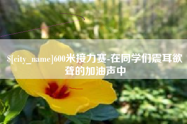 庄河600米接力赛-在同学们震耳欲聋的加油声中