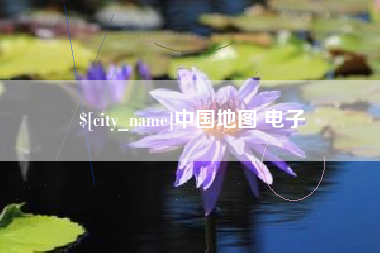 庄河中国地图 电子