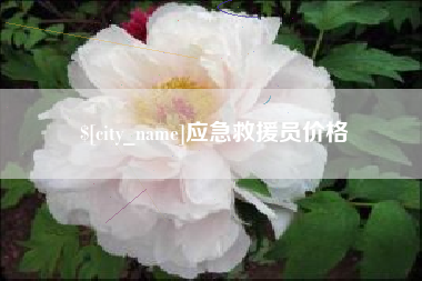 庄河应急救援员价格