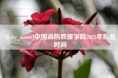 庄河中国消防救援学院2021年报名时间