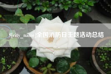 庄河全国消防日主题活动总结