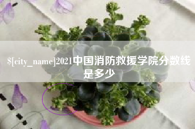 庄河2021中国消防救援学院分数线是多少