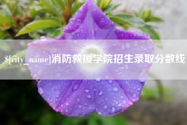 庄河消防救援学院招生录取分数线