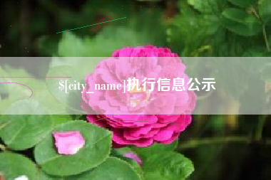 庄河执行信息公示