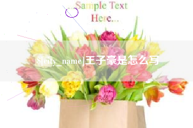 庄河王子豪是怎么写