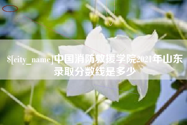 庄河中国消防救援学院2021年山东录取分数线是多少