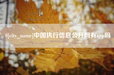 庄河中国执行信息公开网有app吗