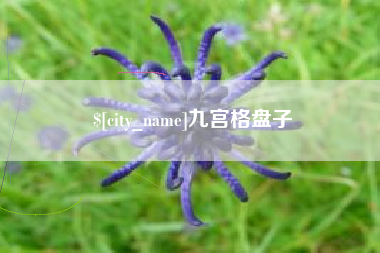 庄河九宫格盘子