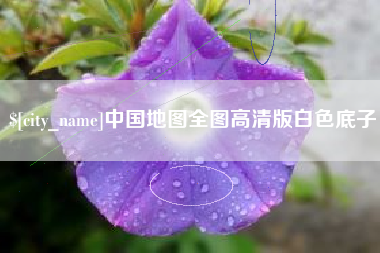 庄河中国地图全图高清版白色底子